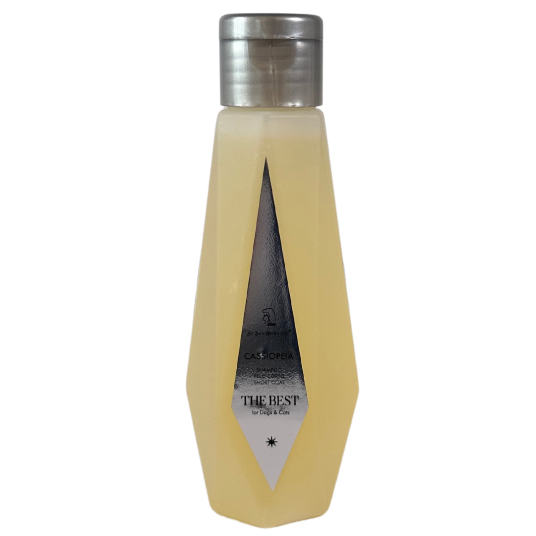 Cassiopeia sjampó - snöggur feldur - prufur