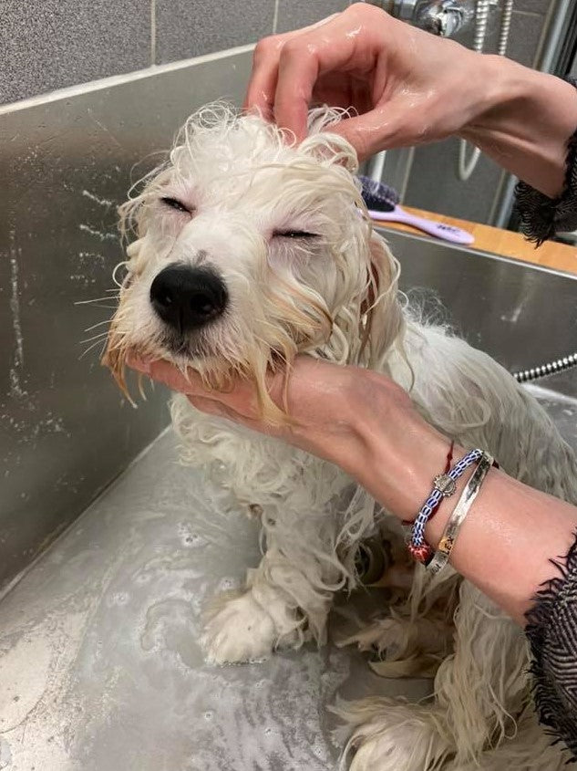 Feldnámskeið - 4. maí 2026