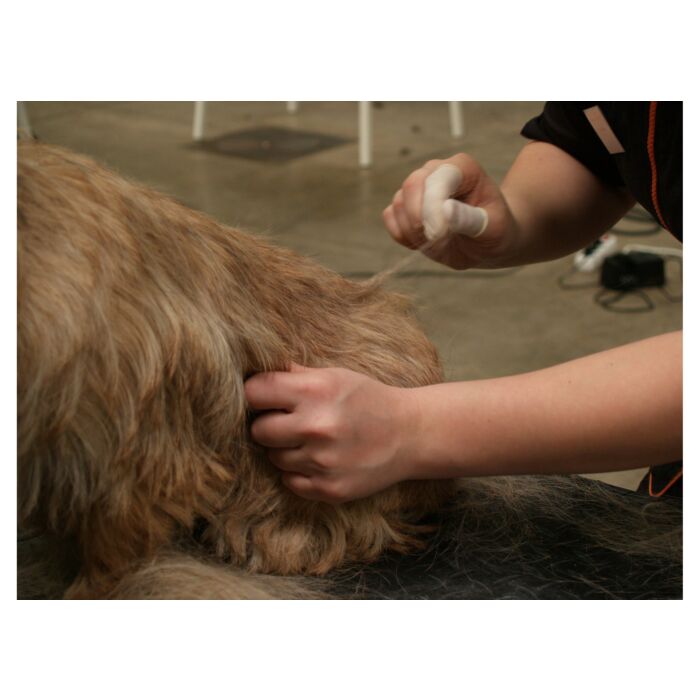 Show Tech Finger Condoms 100 Pcs White - M