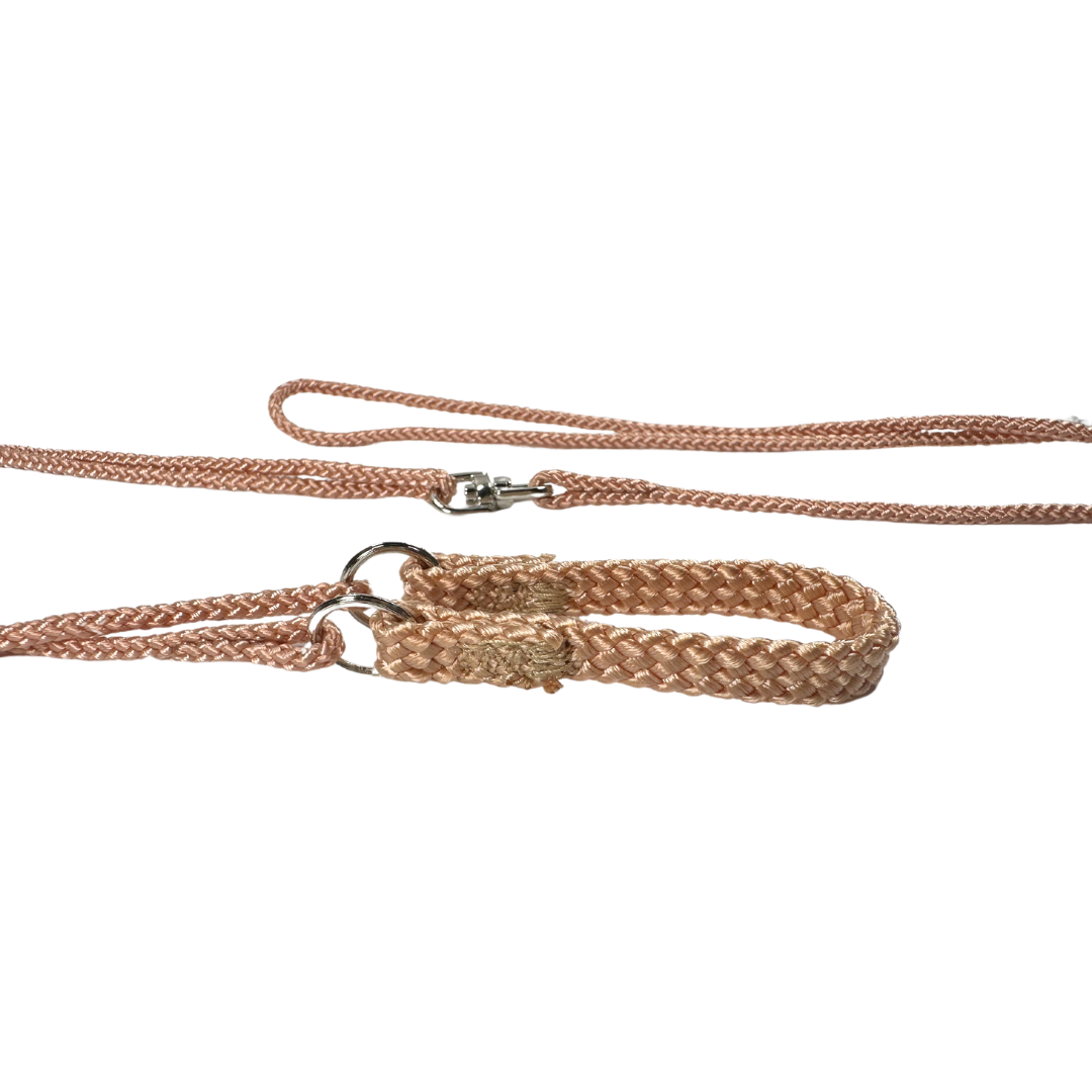 Sýningataumur úr nælon - 3 mm - með hálsstykki