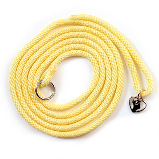 Weathertop retriever sýningataumur með stoppi - ýmsir litir