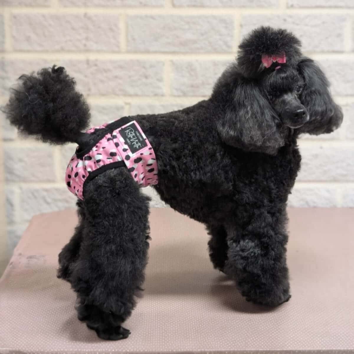 Lóðabuxur - M - 43-55 cm