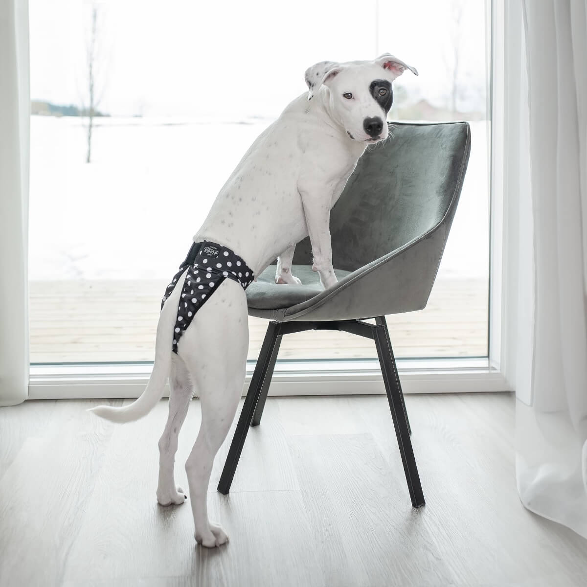 Lóðabuxur - XL - 59-81 cm