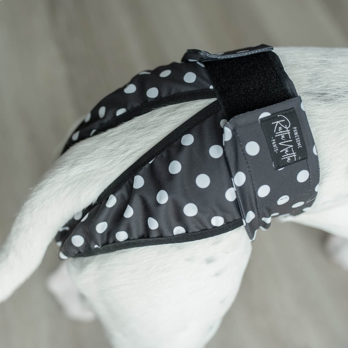 Lóðabuxur - XL - 59-81 cm