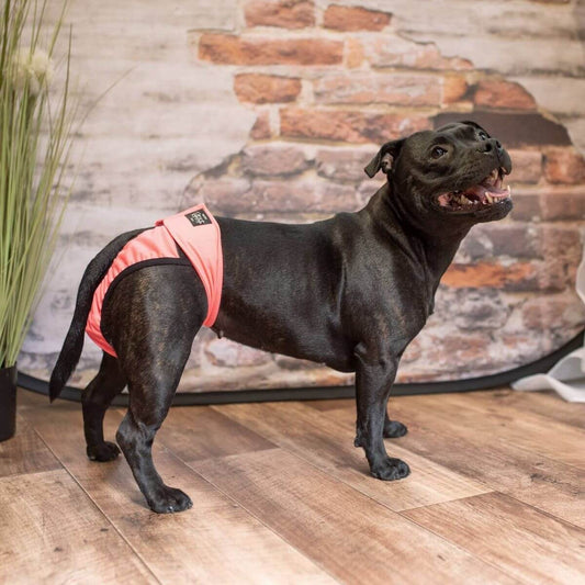 Lóðabuxur - með fjölnota innleggjum