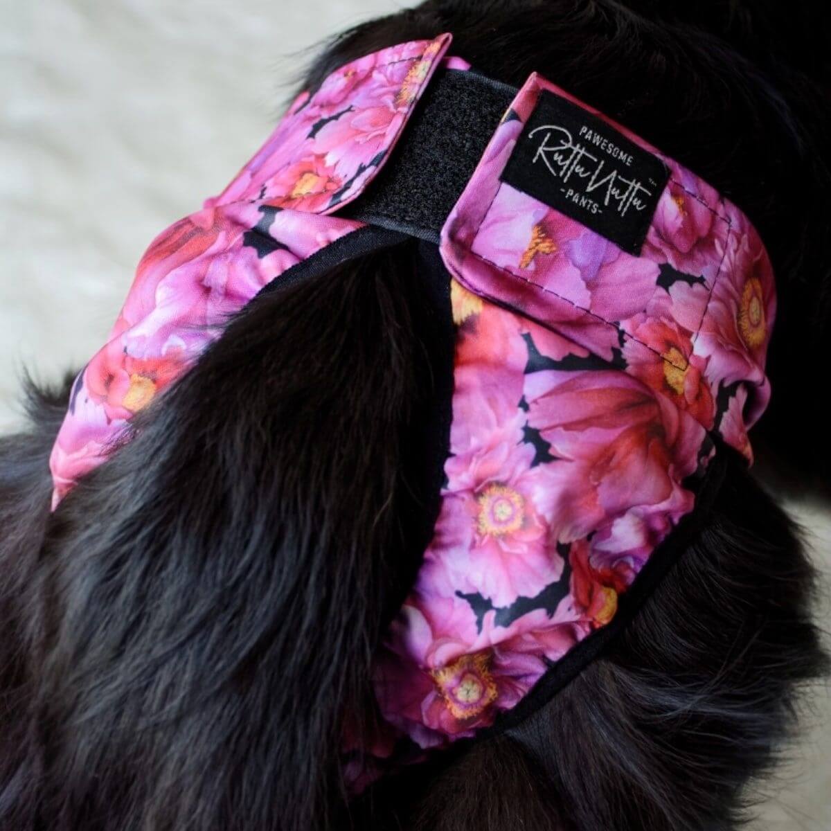 Lóðabuxur - XL - 59-81 cm