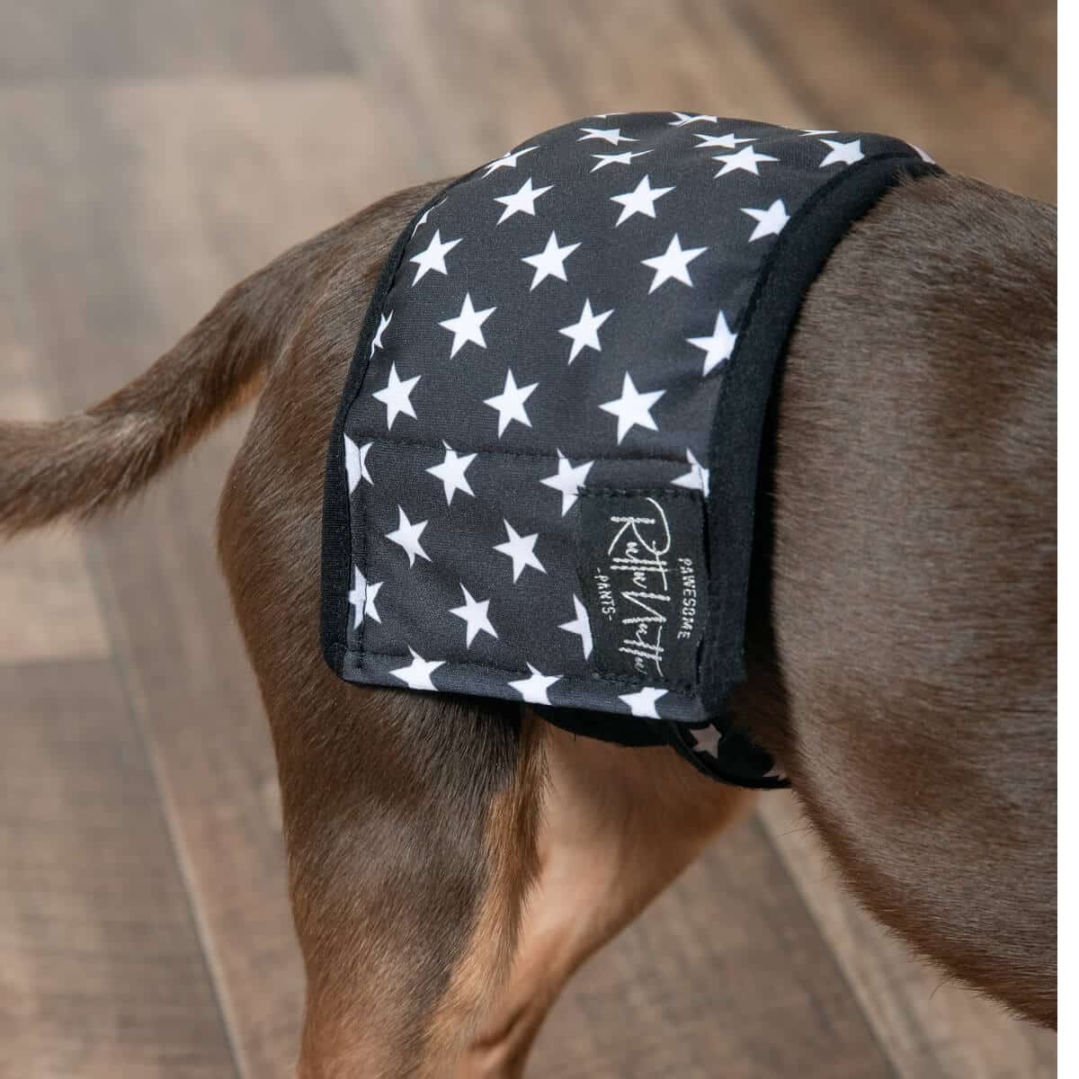 Rakkabelti - XXS - 23-31 cm