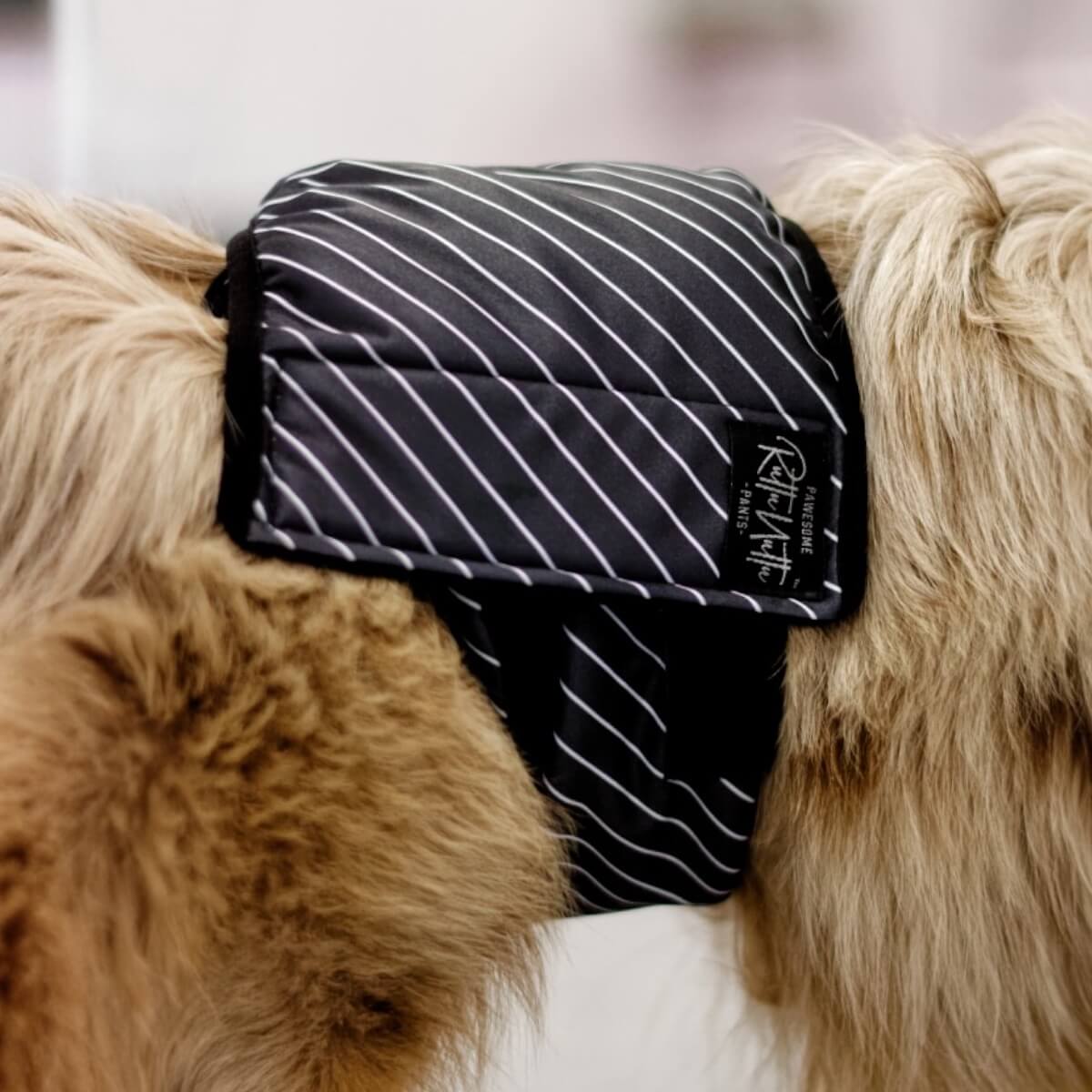 Rakkabelti - XS - 29-40 cm