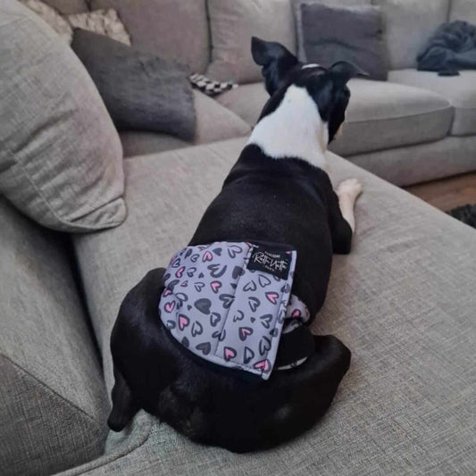 Rakkabelti - M - 44-60 cm