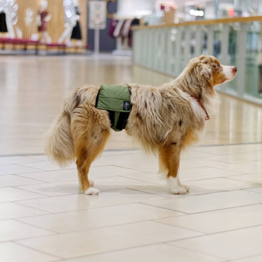 Rakkabelti - L - 49-71 cm