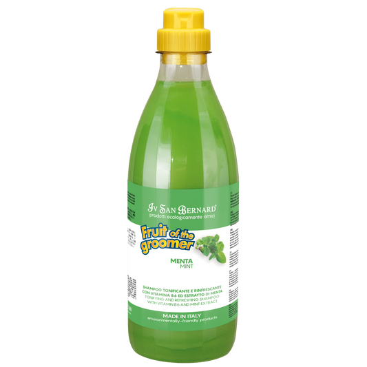 Myntu sjampó - hressandi virkni